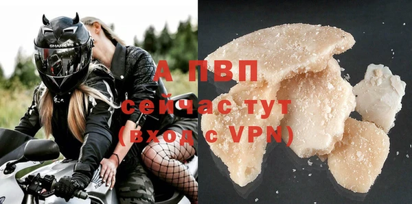тгк Магадан