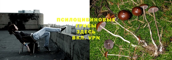 каннабис Магас