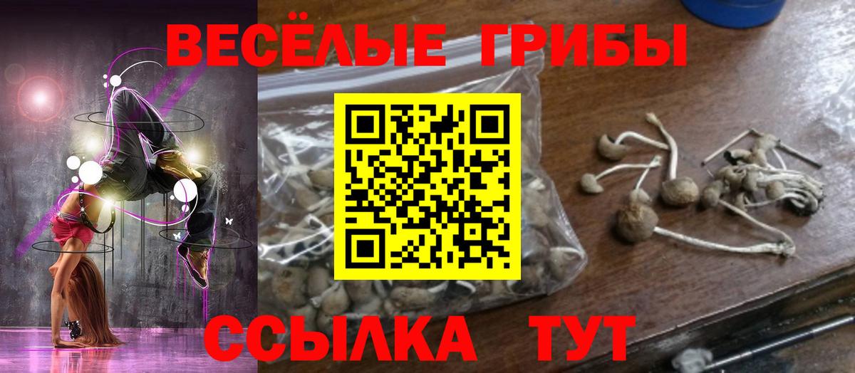 Галлюциногенные грибы MAGIC MUSHROOMS Кемерово