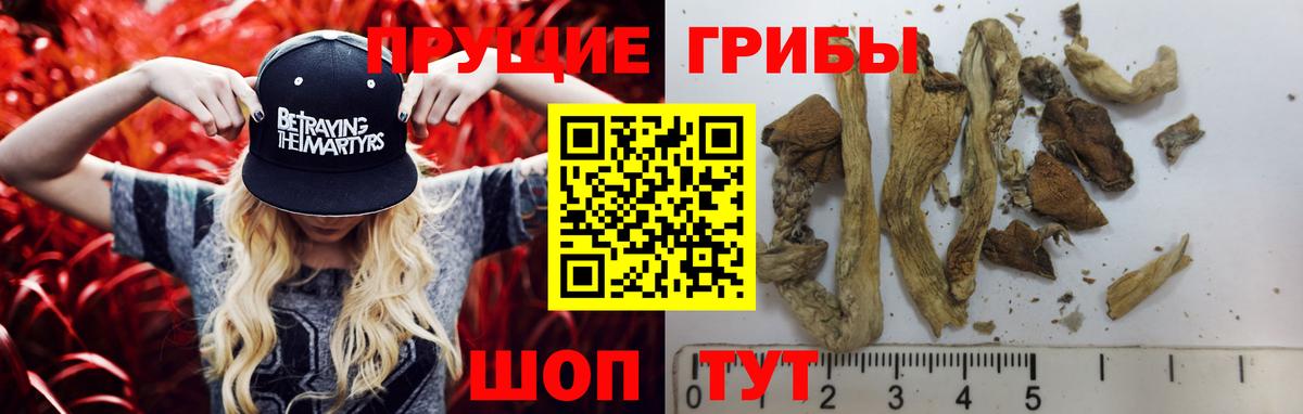 Псилоцибиновые грибы Psilocybe  Вход с VPN  Кемерово 